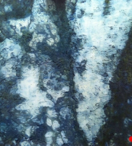 Tornade: Abstract Blue Painting Nathalie Maquet SOLD